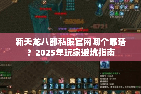 新天龙八部私服官网哪个靠谱？2025年玩家避坑指南