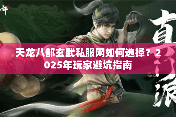 天龙八部玄武私服网如何选择？2025年玩家避坑指南