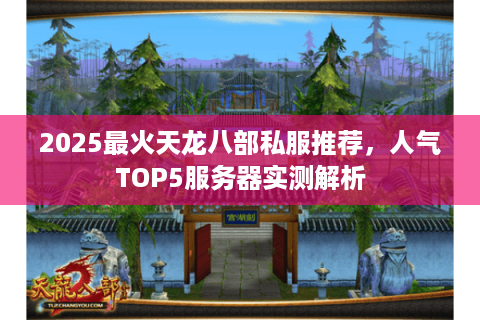 2025最火天龙八部私服推荐，人气TOP5服务器实测解析