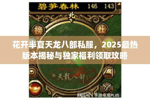 花开半夏天龙八部私服，2025最热版本揭秘与独家福利领取攻略