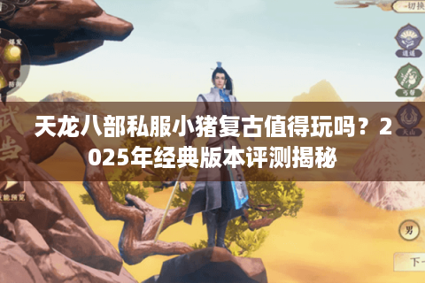 天龙八部私服小猪复古值得玩吗？2025年经典版本评测揭秘