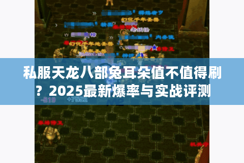 私服天龙八部兔耳朵值不值得刷？2025最新爆率与实战评测
