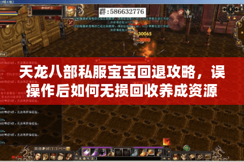 天龙八部私服宝宝回退攻略，误操作后如何无损回收养成资源？