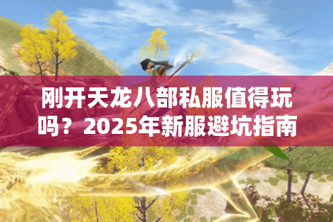 刚开天龙八部私服值得玩吗？2025年新服避坑指南